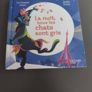 La nuit tous les chats sont gris Hachette