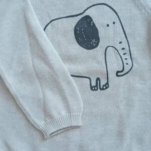 Pull 9 mois éléphant H&M