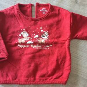 Pull Disney Kiabi 0-3 mois