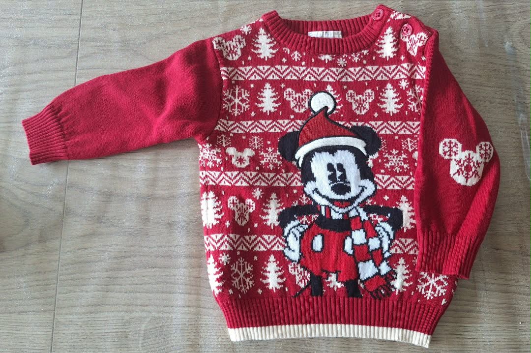 Pull Disney baby 6-12 mois