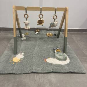 Tapis d’éveil + arche Little Dutch