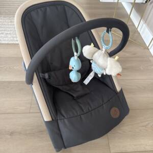 Transat Dreambaby